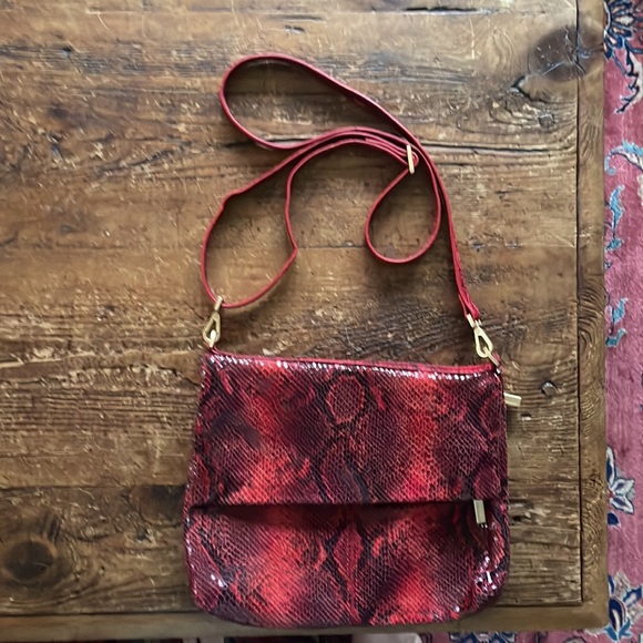 Hammitt red snake bag. Dimensions: 10x8. Opened 10x13. Great condition. - Picture 2 of 5